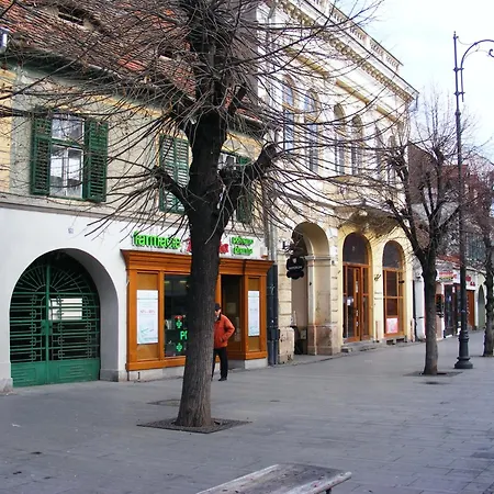 Gabriel * Sibiu