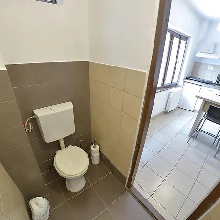 Gabriel Apartment Sibiu